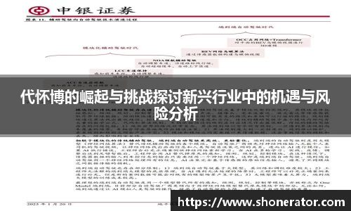 代怀博的崛起与挑战探讨新兴行业中的机遇与风险分析